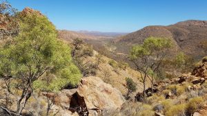 Typische Landschaft im Northern Territory