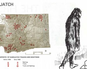 Auszug aus dem Atlas mit Bigfoot-Nachweisen