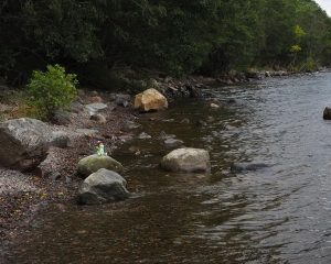 Spielzeug-Nessie sitzt auf einem Stein am Ufer