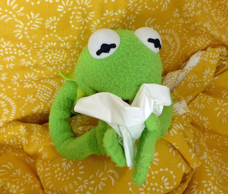 Kermit der Frosch liegt im Bett und schnäuzt sich die Nase