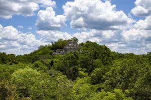 Berg mit Maya-Ruine zwischen Bäumen
