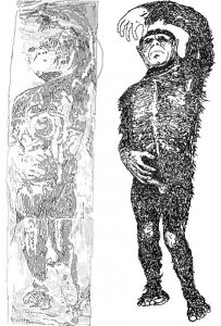Skizze der Originalabbildungen des Icemans. eine haarige, menschenähnliche Figur liegt auf dem Rücken, den linken Arm im Bogen über den Kopf gehalten