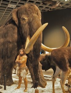 Mammut-Nachbildung mit Neanderthaler im LVL-Museum für Naturkunde Münster