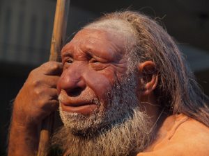 Portrait eines Modells eines älteren Neanderthaler-Mannes