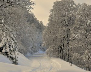 Lebt der Basajaun im Schnee?