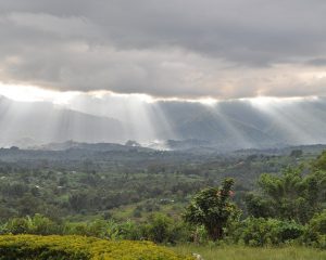 Ruwenzori-Berge im Regen