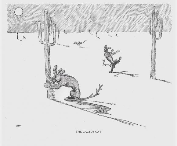 Kaktus-Katze