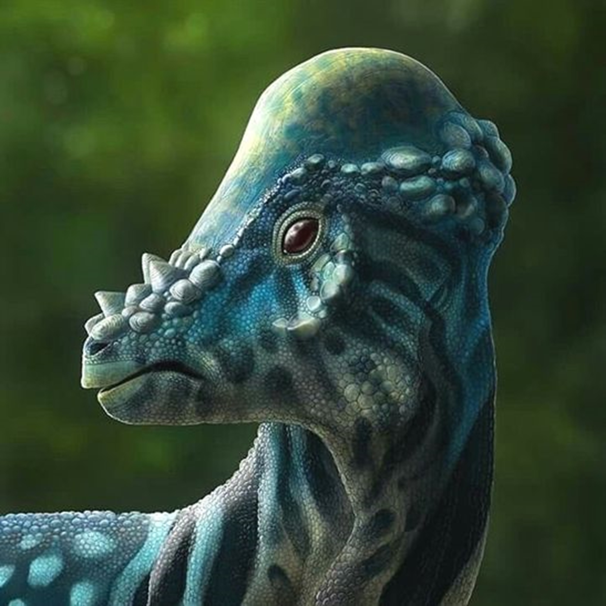 Pachycephalosaurus