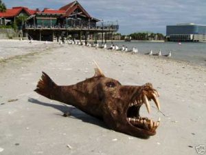 Tampa Sea Monster