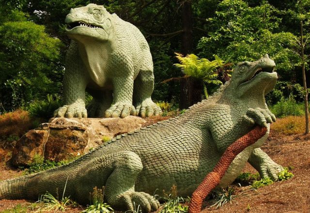 Iguanodon-Modelle
