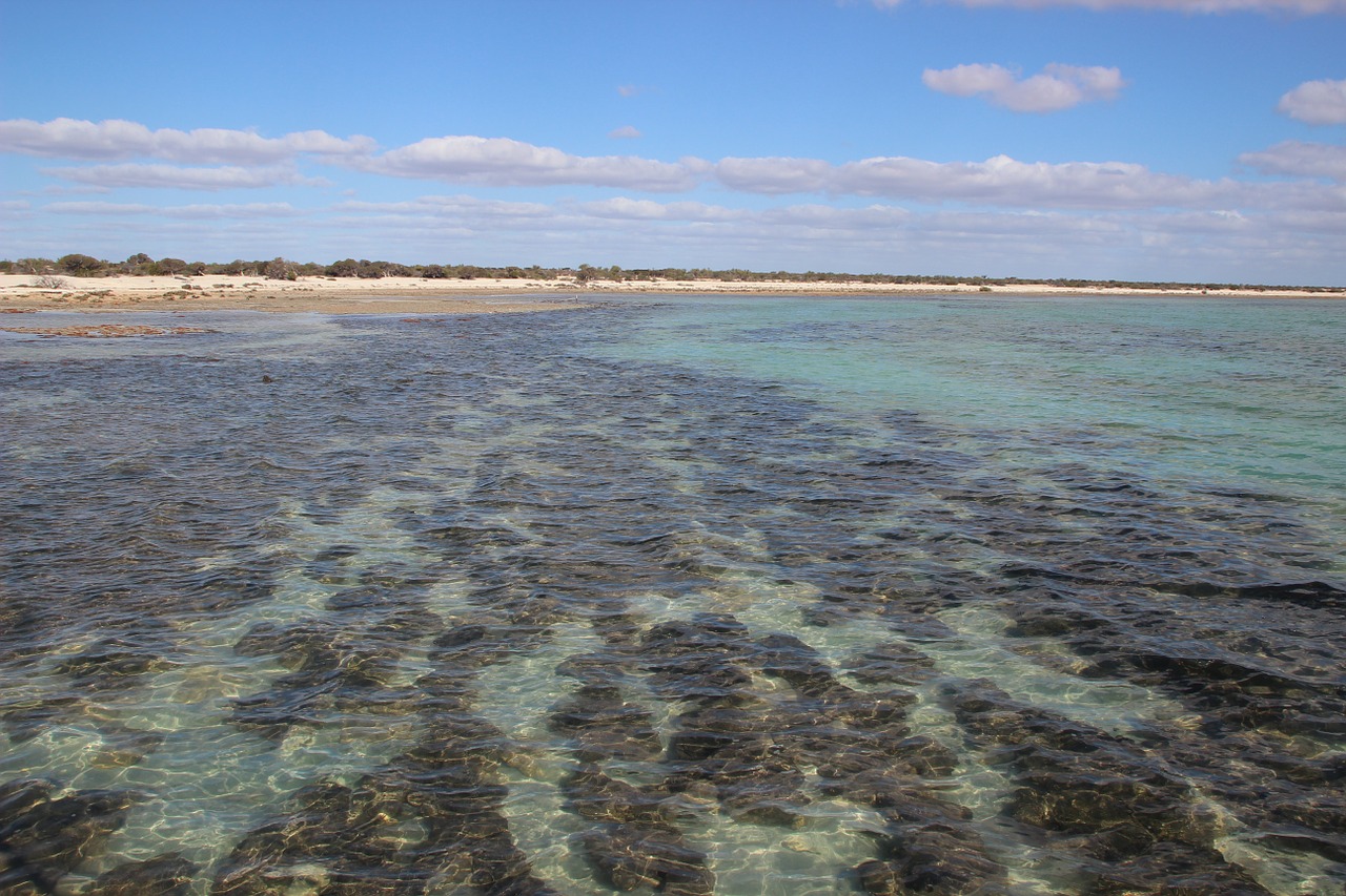 Shark Bay mit Stromatolithen