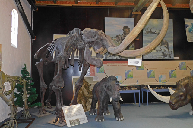 Mammut und andere eiszeitliche Tiere im "Tor zur Urzeit"