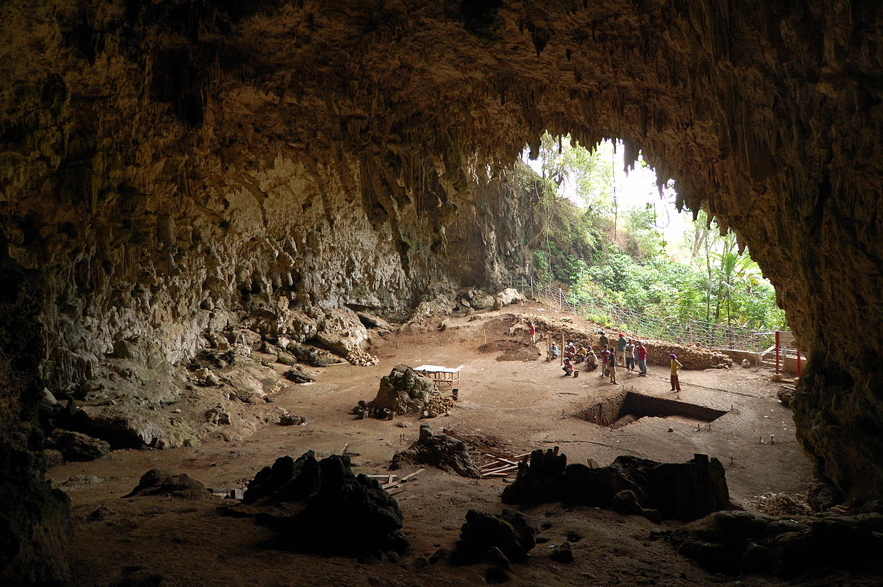 Fundort des Homo floresiensis