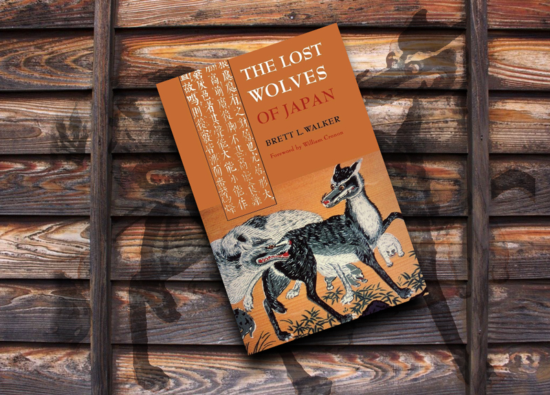 Der ausgestorbene Japanische Wolf ist Thema des Buches von Brett Walker