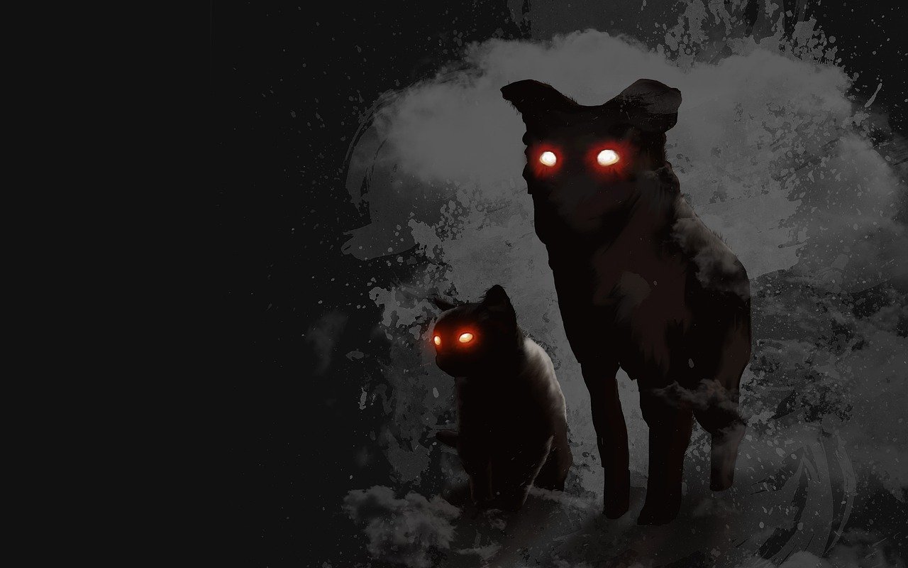 Schwarzer Hund und schwarze Katze mit leuchtenden Augen