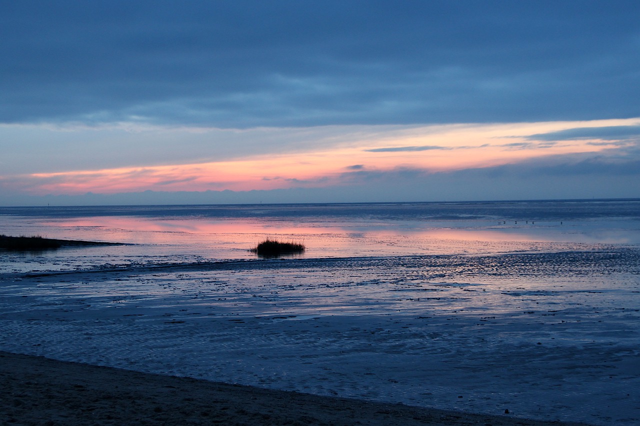 Kein Seeungeheuer in Sicht: Sonnenuntergang im Watt bei Cuxhaven