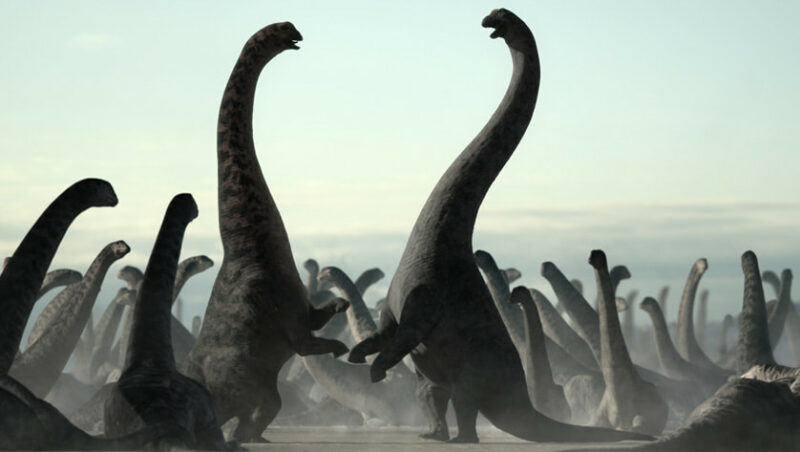Dreadnoughtus-Männchen kämpfen (BBC & AppleTV+ "Prehistoric Planet", press release)