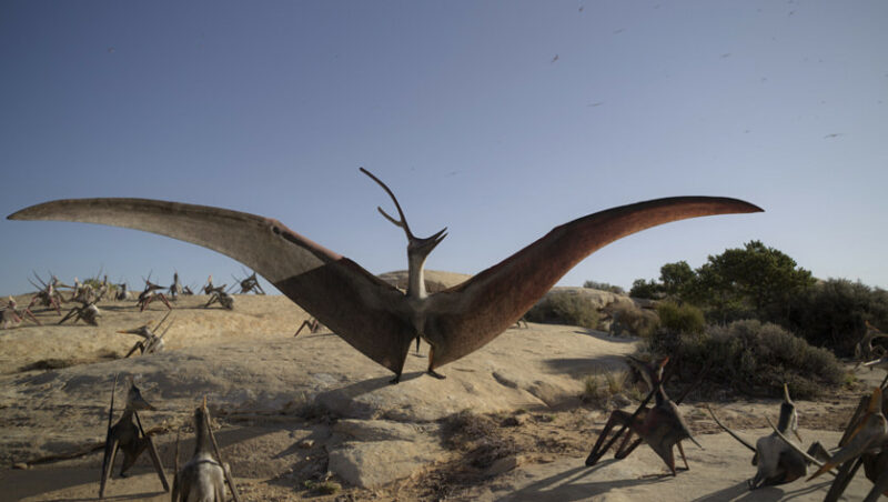 Balzender Pterosaurier (BBC & AppleTV+ "Prehistoric Planet", press release)