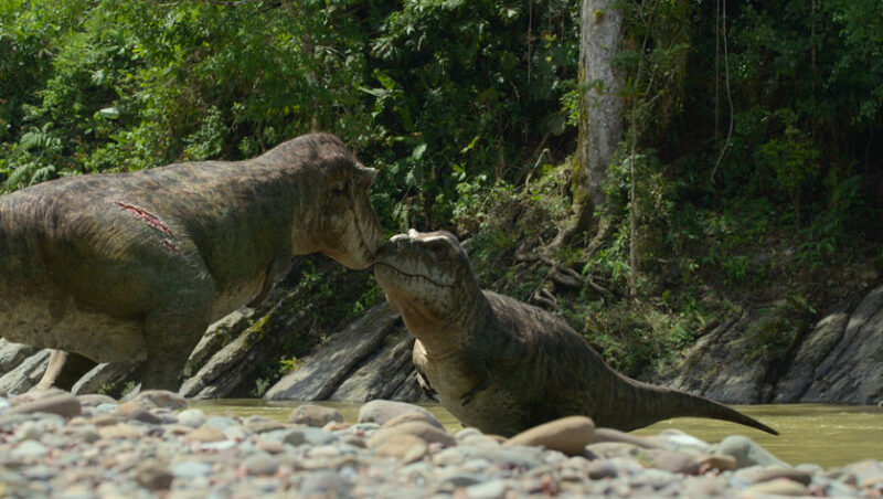 Flirtende Tyrannosaurier (BBC & AppleTV+ "Prehistoric Planet", press release)