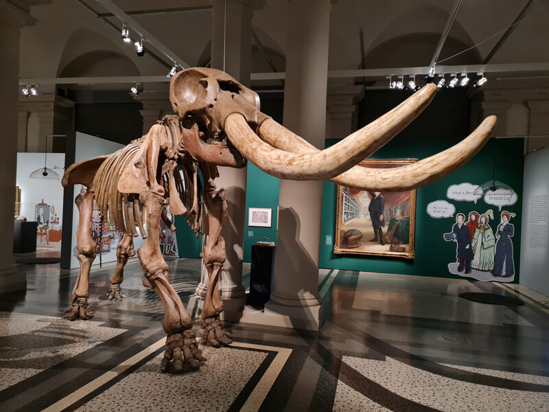 Mastodon-Skelett