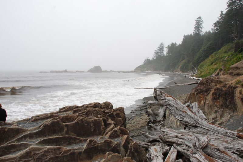 Küste Washingtons mit Meer, Felsen, Wald und Treibholz