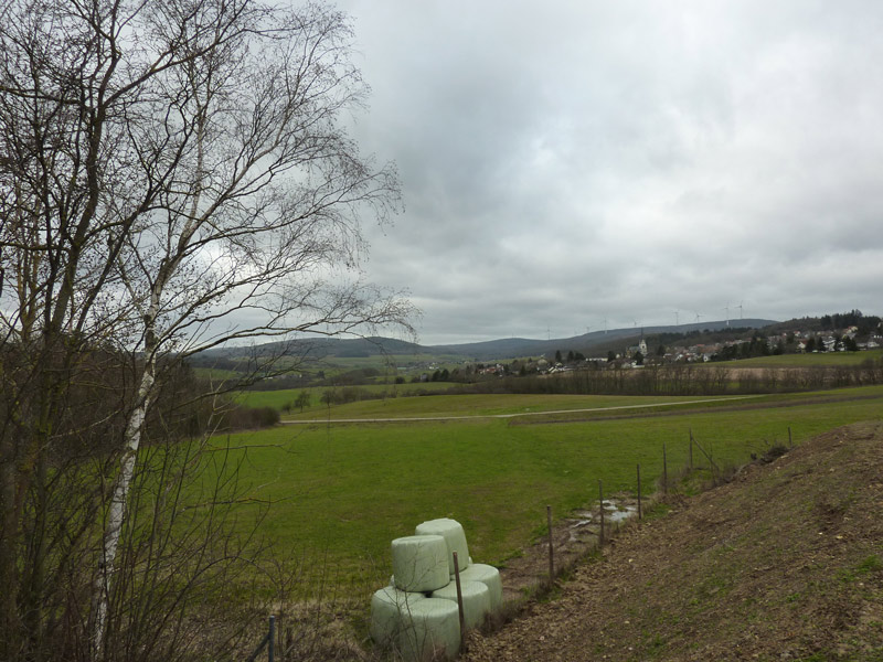 Die Landschaft um Waldalgesheim. (Foto: Ulrich Magin)