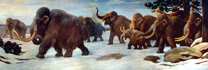 Herde von Wollmammuts Mammuthus primigenius von Charles Robert Knight, 1916