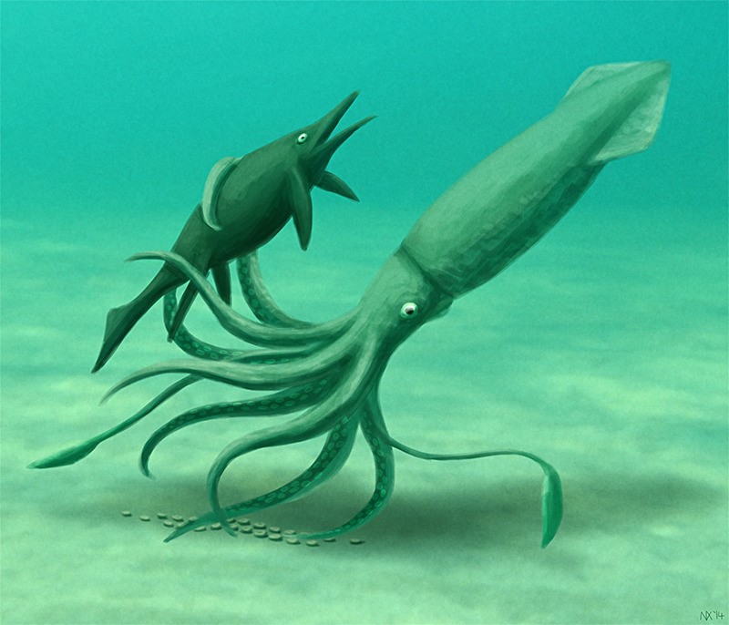 Hypothetisches Lebendbild des Triassischen Riesenkraken (Bild: Nix Draws Stuff, CC BY-NC 4.0).