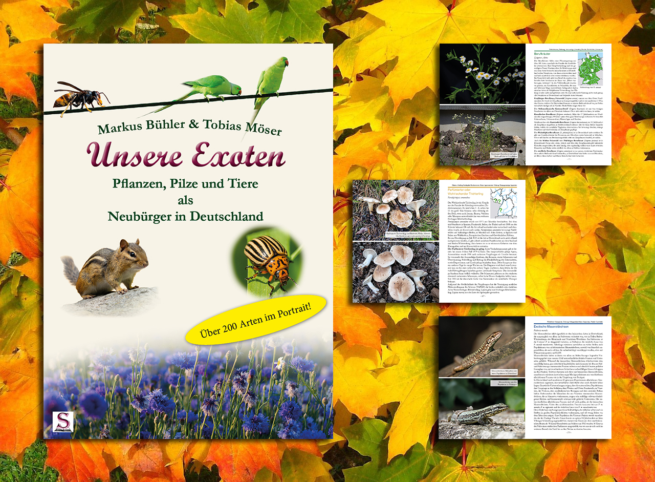 Unsere Exoten - Pflanzen, Pilze und Tiere als Neubürger in Deutschland von Markus Bühler und Tobias Möser
